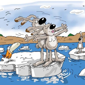 Календарь к Году Зайца