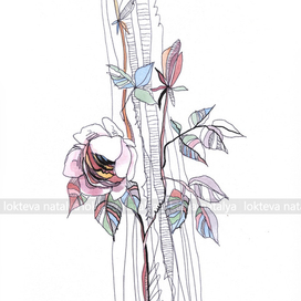 Хрупкая роза