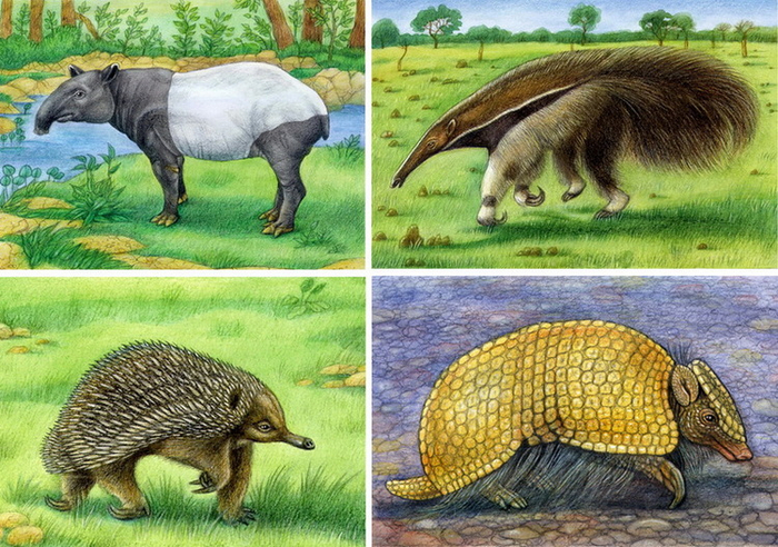  "О всех созданиях - прекрасных и удивительных".