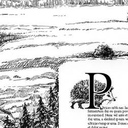 Ёж. Разворот 1