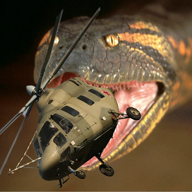 Ловец вертолетов