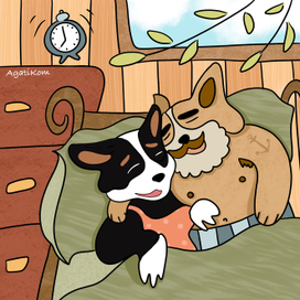 Нежные корги