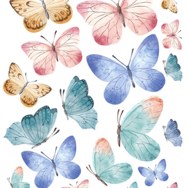 Бабочки Акварель