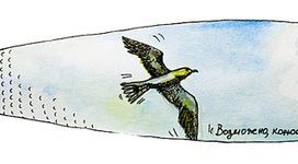 Для фестиваля "Корюшка идет"