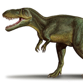 Torvosaurus