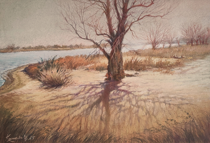 "От света к тени" 