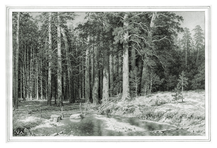 Корабельная роща