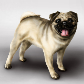 Мопсик ) руки, ноги.... Главное - хвост!!! )))) 