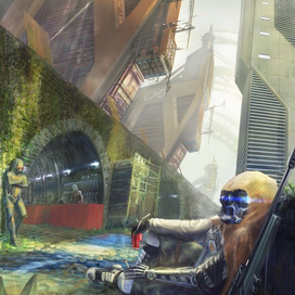 После коллапса