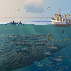 Промысел. ОкеанРыбФлот