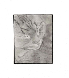 Прекрасные сны