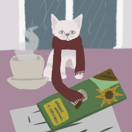 Кот в шарфе