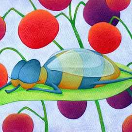 Мушка спит. Иллюстрация для учебника.