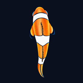 Персонаж для 2D игры (рыба-клоун).