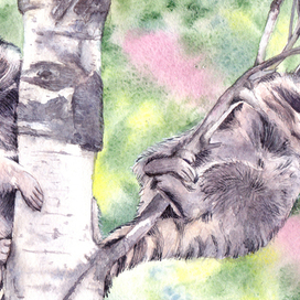 Милая парочка