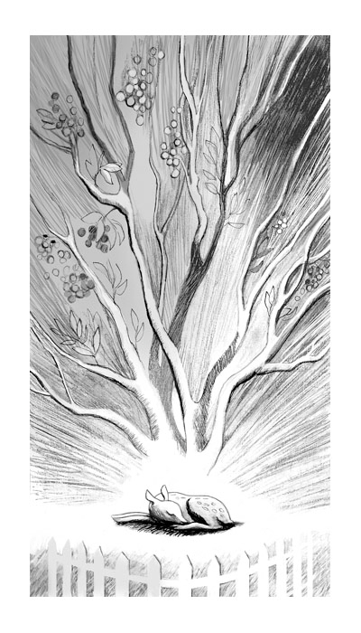 Иллюстрация к историческому роману Андрея Семина "Амадо"