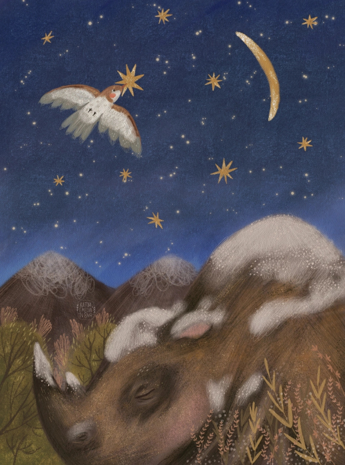 На небо за звездой