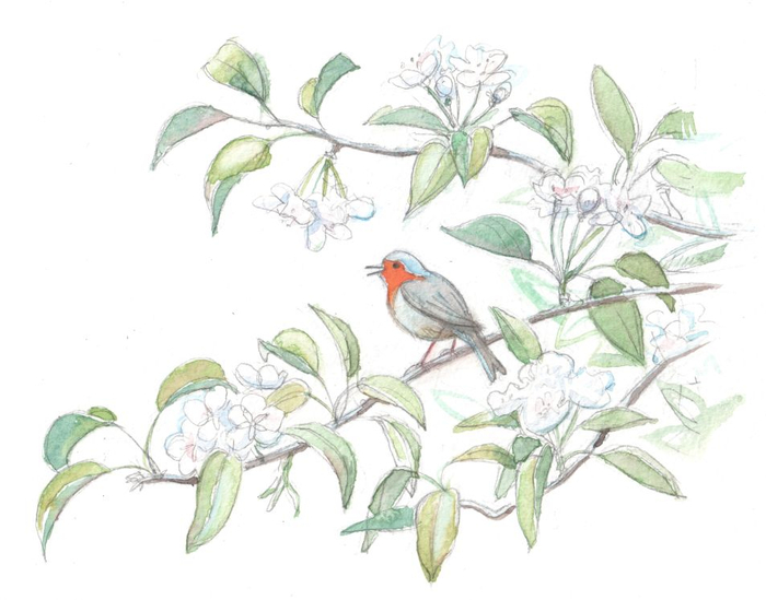 Иллюстрация к повести Луизы Мэй Олкотт "Маленькие женщины замужем"