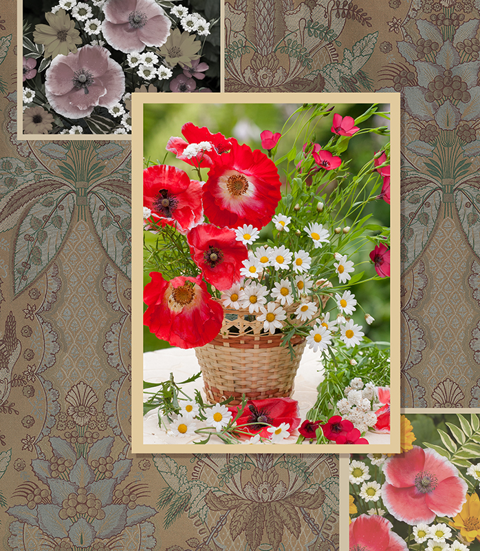 Маки. Обложка к тетради.