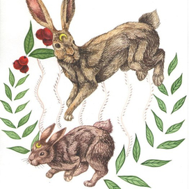 лунные кролики