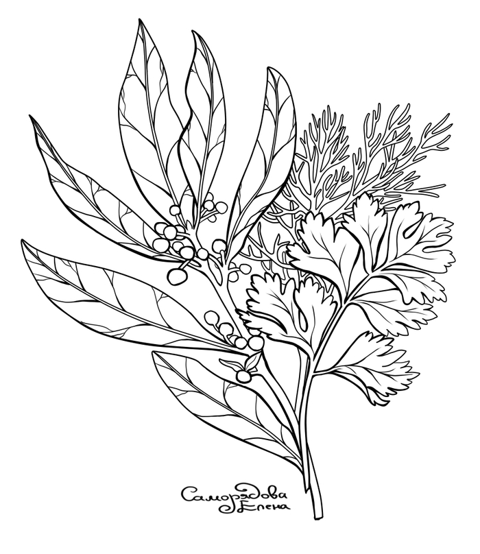 Иллюстрация для ежедневника