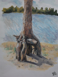 неповторимая сосна)