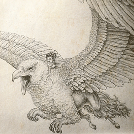 Гарри и Клювокрыл