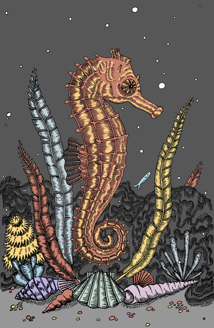 Морской конек