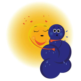 Солнце и туча