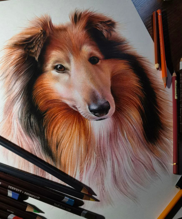 Портрет собачки