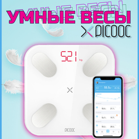 Весы
