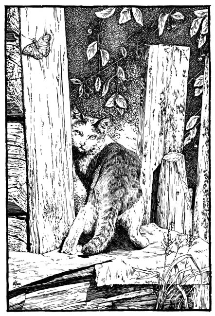 Друг или враг?..