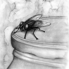 Муха (чужие стихи)