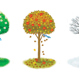 лиловый медвежонок