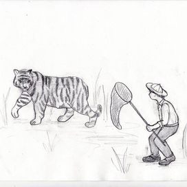 Охота на тигра с сачком для бабочек
