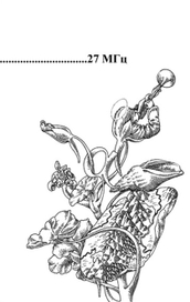 Шмутцтитул 2