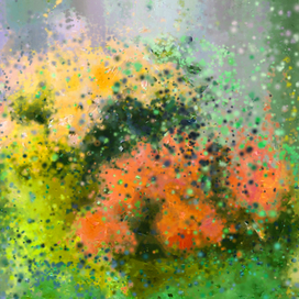 июнь  / история одного букета/