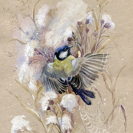 Синичка и осот