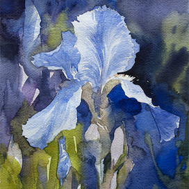 "Лазурный ирис"