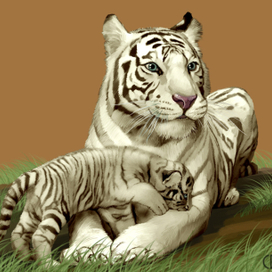 Иллюстрация для книги Брема «Жизнь животных» «Белые тигры»