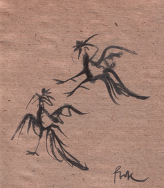 петушиный бой