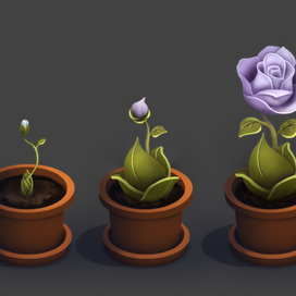 Стадии роста цветка, концепт.