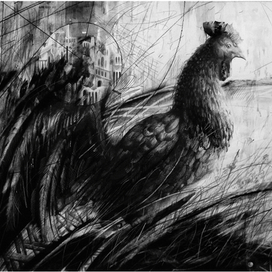 черная курица