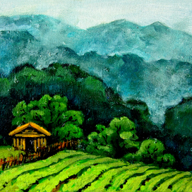 Дом чаевода