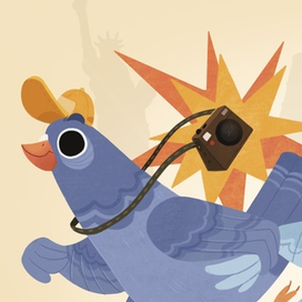 В 2021 путешествуют только птицы 