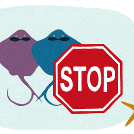 Секрет фирмы