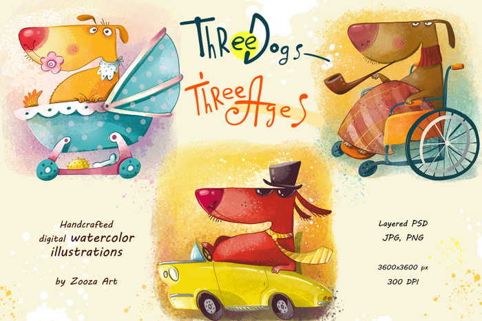 Три собаки - три возраста