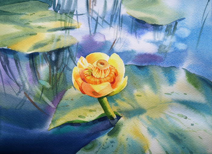 "Деревенский пруд"