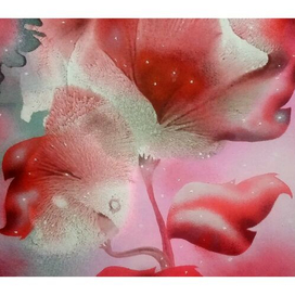 Розовое настроение