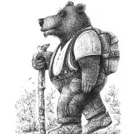 Медведь путешественник